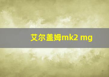 艾尔盖姆mk2 mg